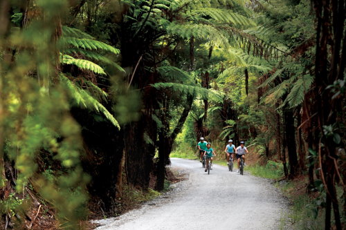 Pou Herenga Tai Twin Coast Cycle Trail